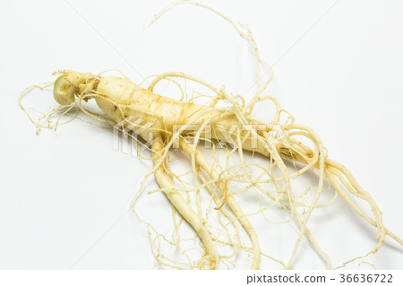 Ginseng 36636722