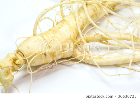 Ginseng Ginseng 36636723