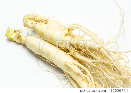 Ginseng Ginseng 36636724