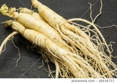 Ginseng Ginseng 36636731