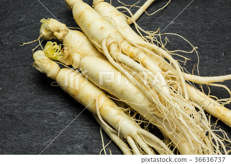 Ginseng 36636737