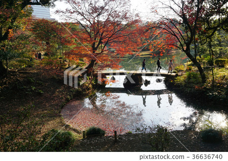 People enjoying autumn leaves People enjoying autumn leaves 36636740