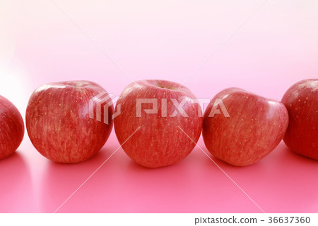 Lined apples 36637360