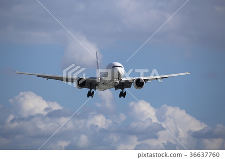 airplane airplane 36637760