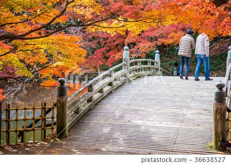 People who take a walk around autumnal gourd pond of Aichi Okazaki East Park People who take a walk around autumnal gourd pond of Aichi Okazaki East Park 36638527
