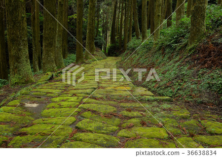 龍莫薩卡 36638834