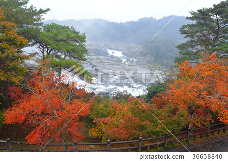 Sogaki的秋天在秋天 Sogaki的秋天在秋天 36638840