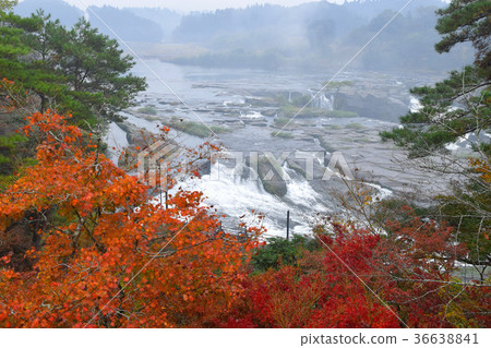 Sogaki的秋天在秋天 36638841