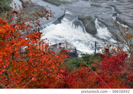 Sogaki的秋天在秋天 36638842