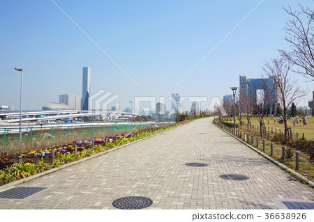 東京海濱區東京都市風景 36638926