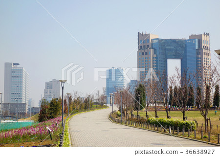 東京海濱區東京都市風景 36638927