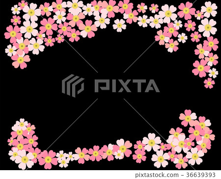Romantic floral background Flower Japanese daisies 36639393