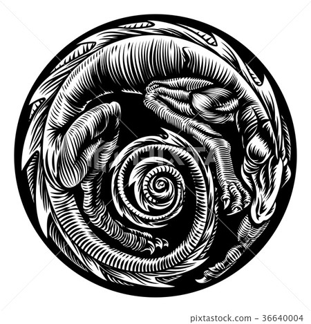 Dragon Tattoo Design Dragon Tattoo Design 36640004