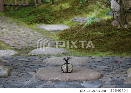 Stone Stone Stone Stone 36640494