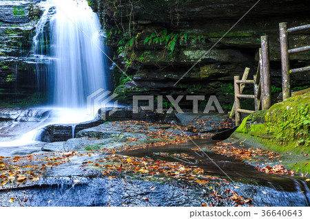 Fall scenery of the falls of Tsuganeshi Fall scenery of the falls of Tsuganeshi 36640643