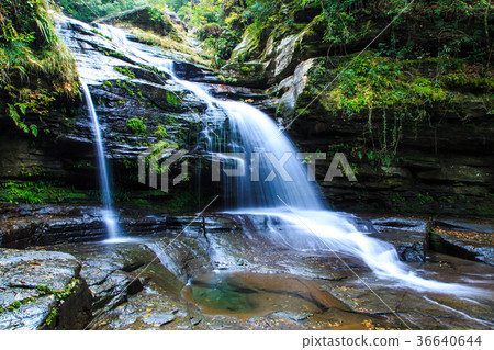 Tsuganeshi瀑布的秋天風景 36640644