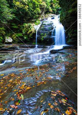 Tsuganeshi瀑布的秋天風景 36640652