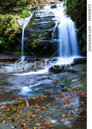 Tsuganeshi瀑布的秋天風景 Tsuganeshi瀑布的秋天風景 36640653