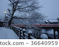 高山雪景 36640959
