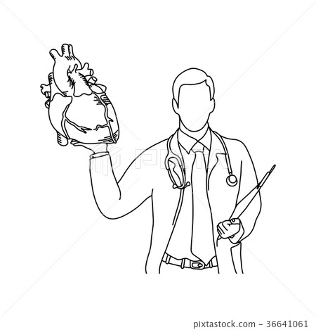 male doctor with uniform holding a human heart 36641061
