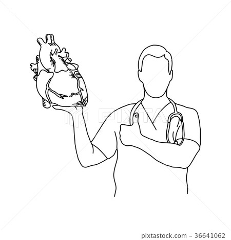 male doctor with uniform holding a human heart 36641062