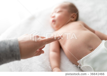 Newborn 36641466