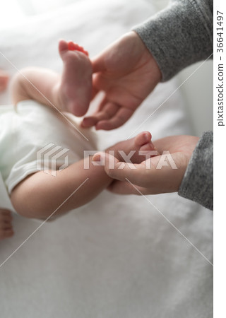Newborn Newborn 36641497