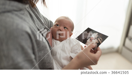 新生兒 36641505