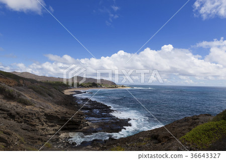 波浪,瓦胡島,夏威夷,美國 波浪,瓦胡島,夏威夷,美國 36643327