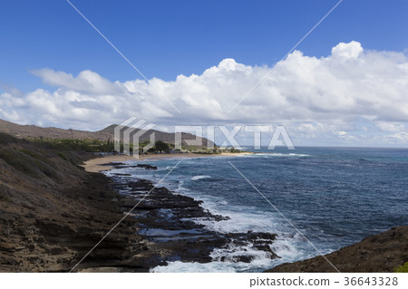 波浪,瓦胡島,夏威夷,美國 波浪,瓦胡島,夏威夷,美國 36643328