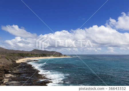 波浪,瓦胡島,夏威夷,美國 波浪,瓦胡島,夏威夷,美國 36643332