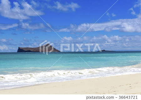 兔子島，Waimanalo海灘，奧阿胡島，夏威夷，美國 36643721