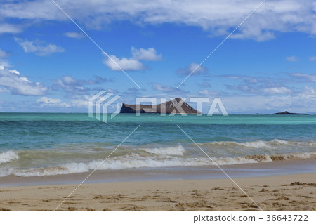 兔子島,Waimanalo海灘,奧阿胡島,夏威夷,美國 兔子島,Waimanalo海灘,奧阿胡島,夏威夷,美國 36643722