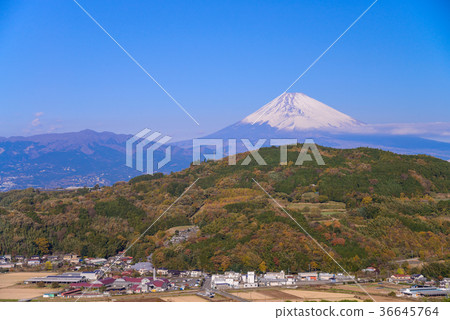 Tanna盆地和富士山(靜岡縣) Tanna盆地和富士山(靜岡縣) 36645764