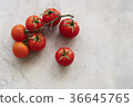 Branched tomato 36645765