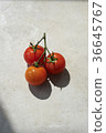Tomato shadow with branches 36645767