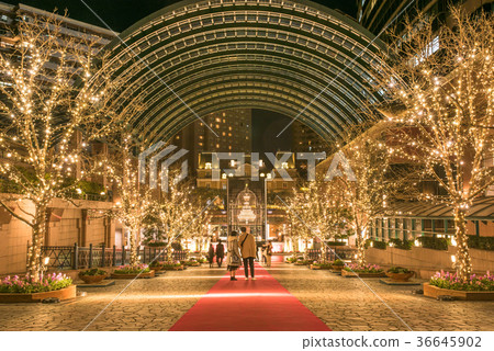 Ebisu Garden Place Christmas Light Up 36645902