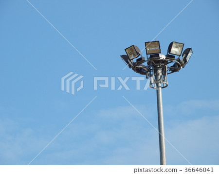 large tall high outdoor park and public garden 36646041