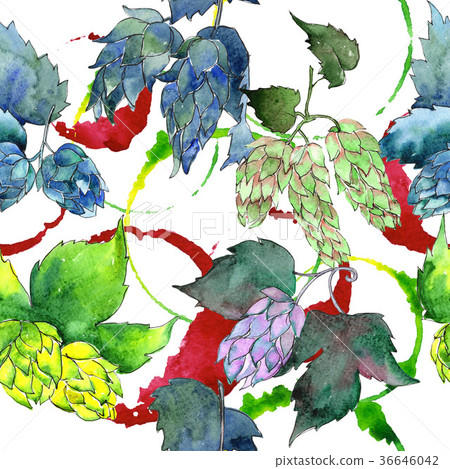 Wildflower hops flower pattern in a watercolor 36646042