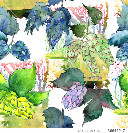 Wildflower hops flower pattern in a watercolor 36646047