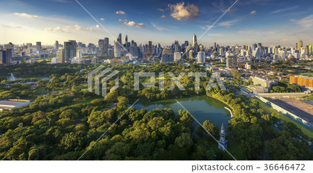 Lumpini park and Bangkok city building view 36646472