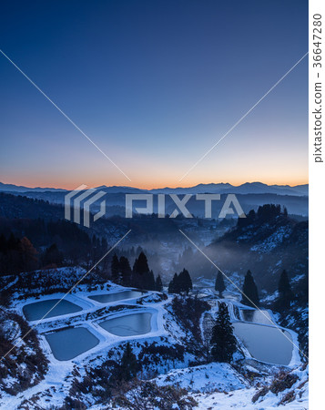 新潟縣長岡市Yamakoshi Tanada的黎明與新鮮的雪和Yosui池塘 36647280
