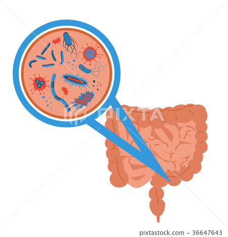 intestinal flora sign 36647643