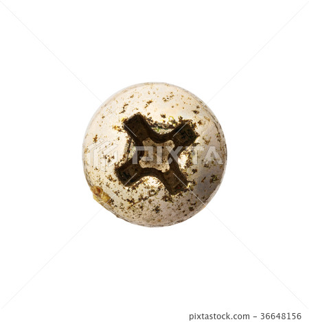 Rusty screw head 36648156