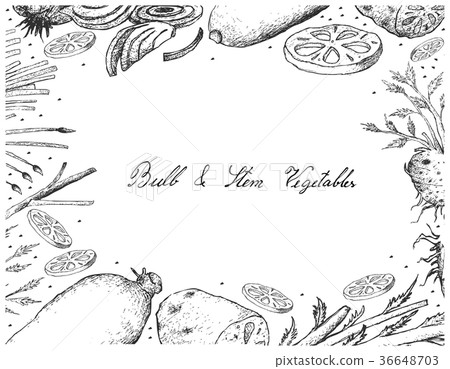 Bulb and Stem Vegetables Frame on White Background Bulb and Stem Vegetables Frame on White Background 36648703