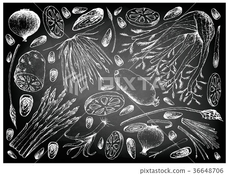 Bulb and Stem Vegetables on Chalkboard 36648706
