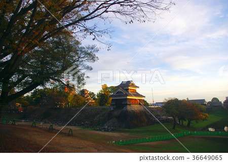 熊本城 熊本城 36649065