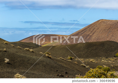 Landscape of Timanfaya National Park in Lanzarote Landscape of Timanfaya National Park in Lanzarote 36649696