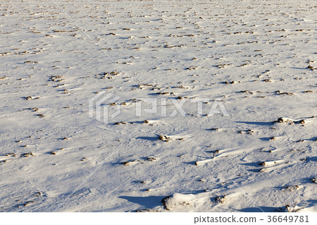 land covered with snow 36649781