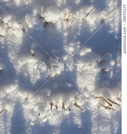 Snow drifts 36650125